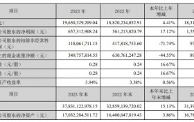 科大讯飞发布公告，2023 年实现营业收入 196.5 亿元，同比增长 4.41%